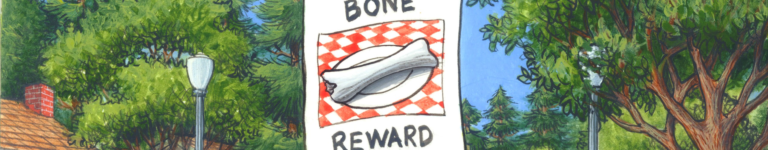 The Case of the Missing Bone